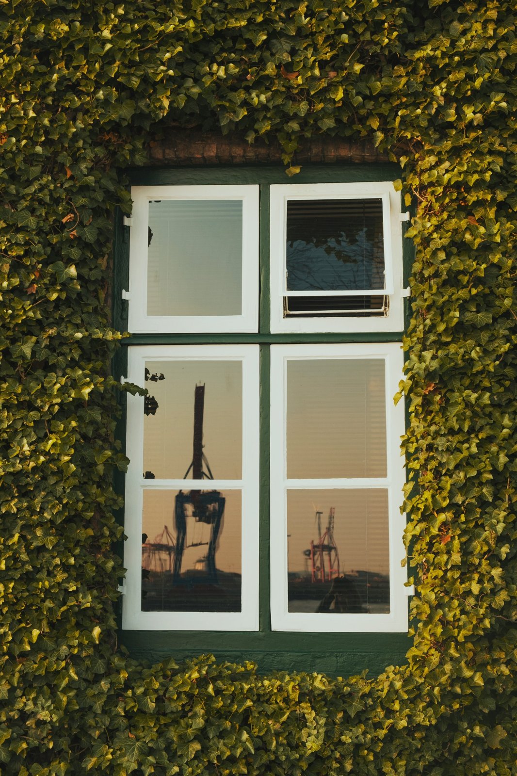 Fensterreinigung Wismar